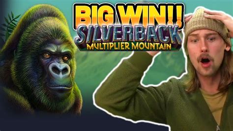 Silverback Multiplier Mountain Bwin